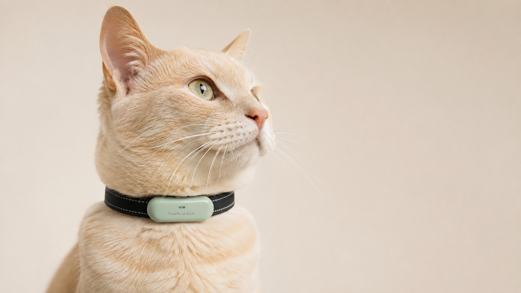 Artist's impression of a cat wearing the low-profile PawTrax Aura collar development concept